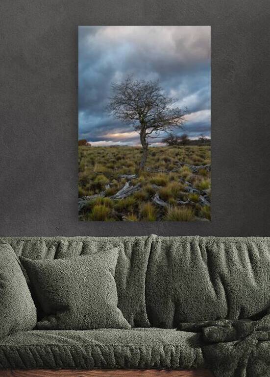 Icalma by VOLCKMANNII