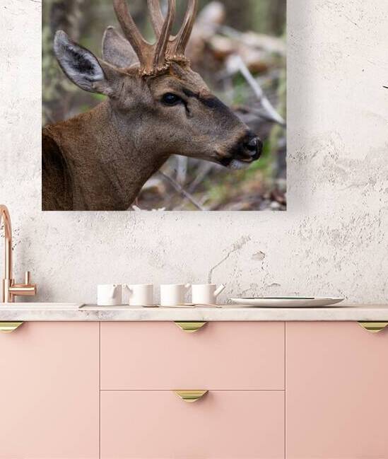 Huemul by VOLCKMANNII