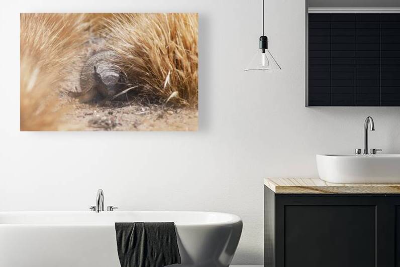 Quirquincho by VOLCKMANNII