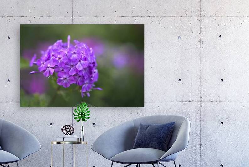 Pretty Purple Bouquet by Suzanne Bonin