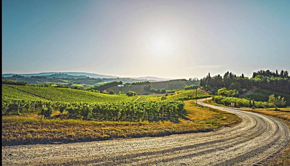 Road and vineyards in the San Gimignano countryside. Tuscany by Stefano Orazzini