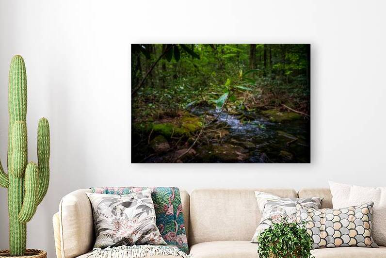 Springs Promise by Dream World Images