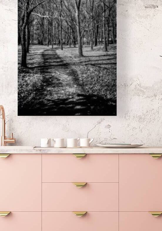 Solitary Trails: Eerie Path Near Knoxville by Dream World Images