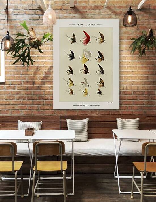 Trout Flies  by IStockHistory com