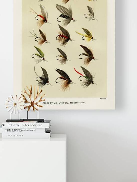 Trout Flies  by IStockHistory com