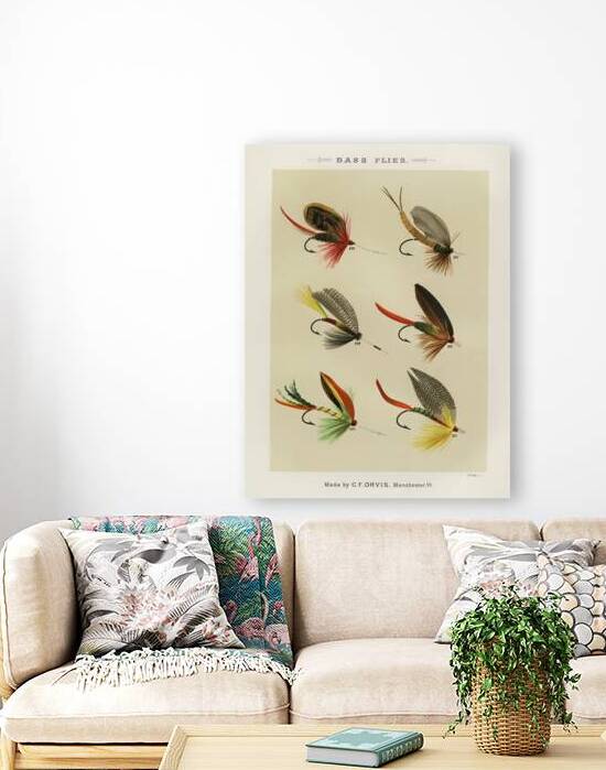 Bass Flies  by IStockHistory com