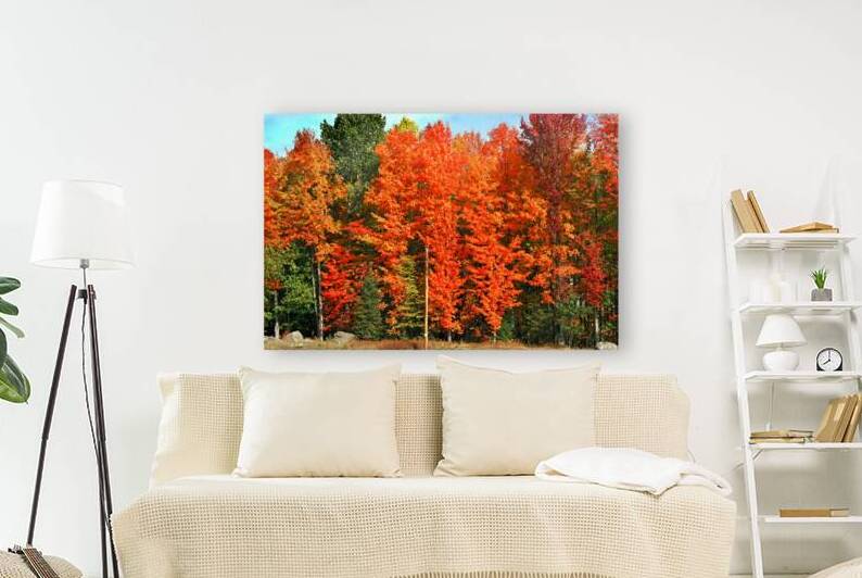 Fall Foliage Michigan Upper Peninsula by Bill Swartwout Photography