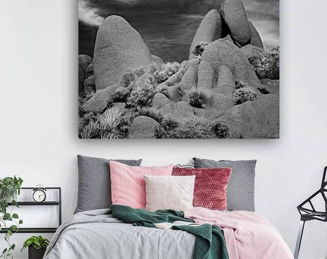 Joshua Tree Desert Rocks Infrared by Jerry Fornarotto