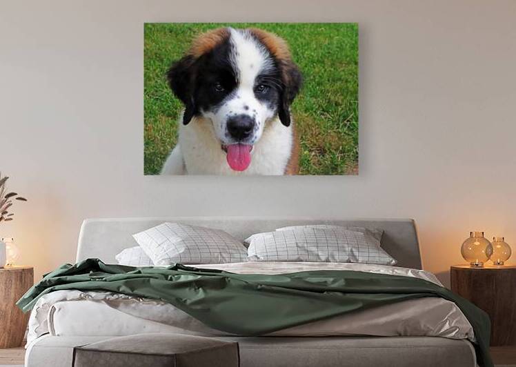 Frankie by Deb Oppermann