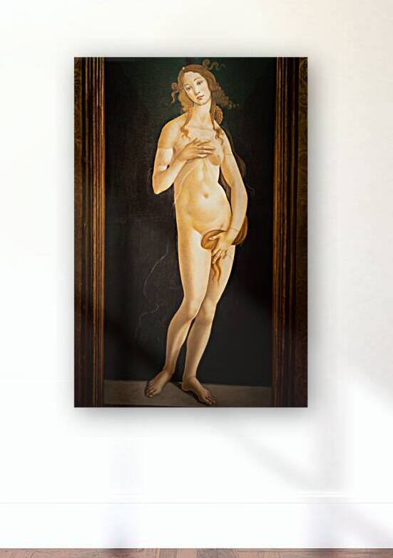 The painting of Venus by Sandro Botticelli oil on canvas 1490 by Paolo Modena