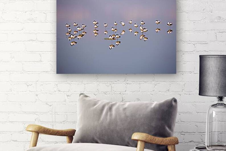 Social Media Print Store 60 by Laura Merz