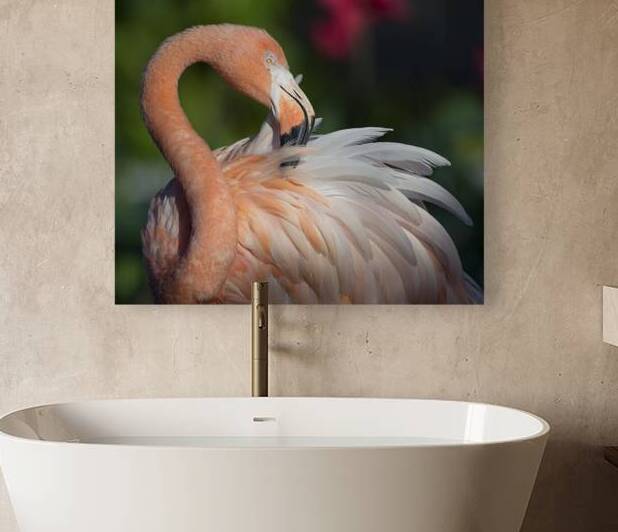 Flamboyance by EarthsMoments by Marc Harris photographer