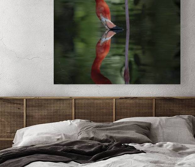 Nose to Nose by EarthsMoments by Marc Harris photographer