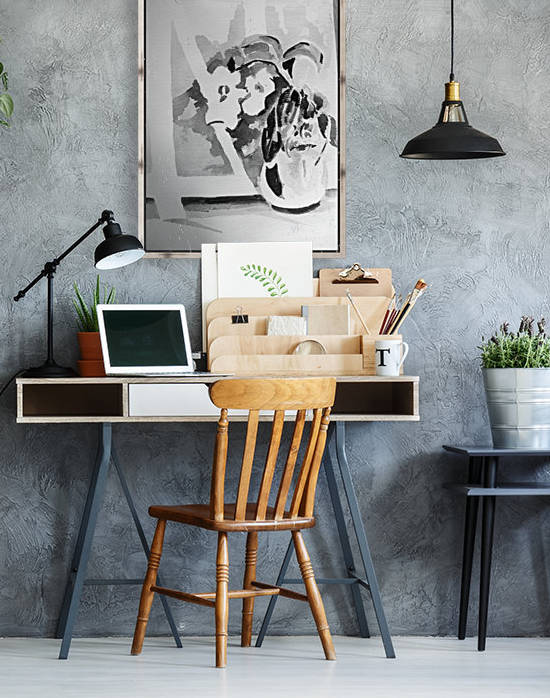 Window Orchid by Adrian Butt