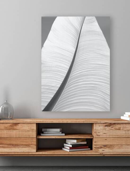 Leaf by Corey Ribotsky