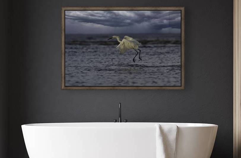 Rain Day by EarthsMoments by Marc Harris photographer