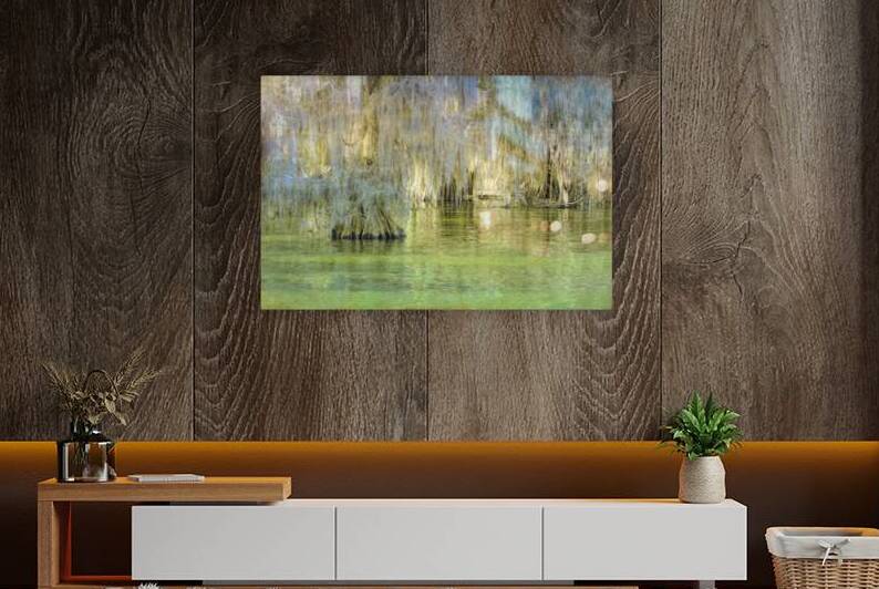 Louisiana Bald Cypress Light Beams by Norma Brandsberg Photography