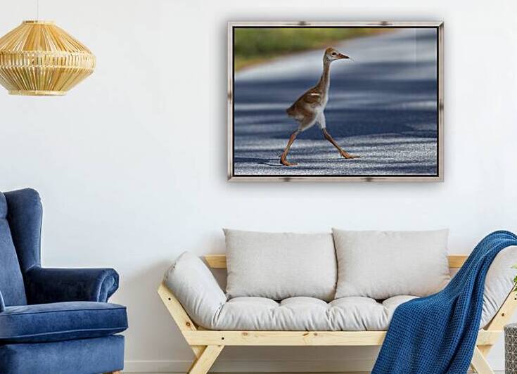 Country Roads  by EarthsMoments by Marc Harris photographer