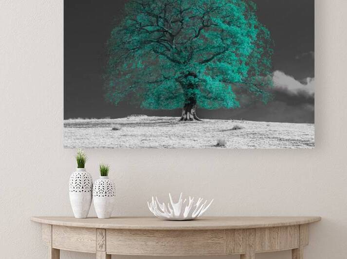 Tree on a hill by Assaf Frank