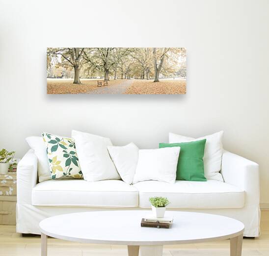 Pathway through autumn park by Assaf Frank