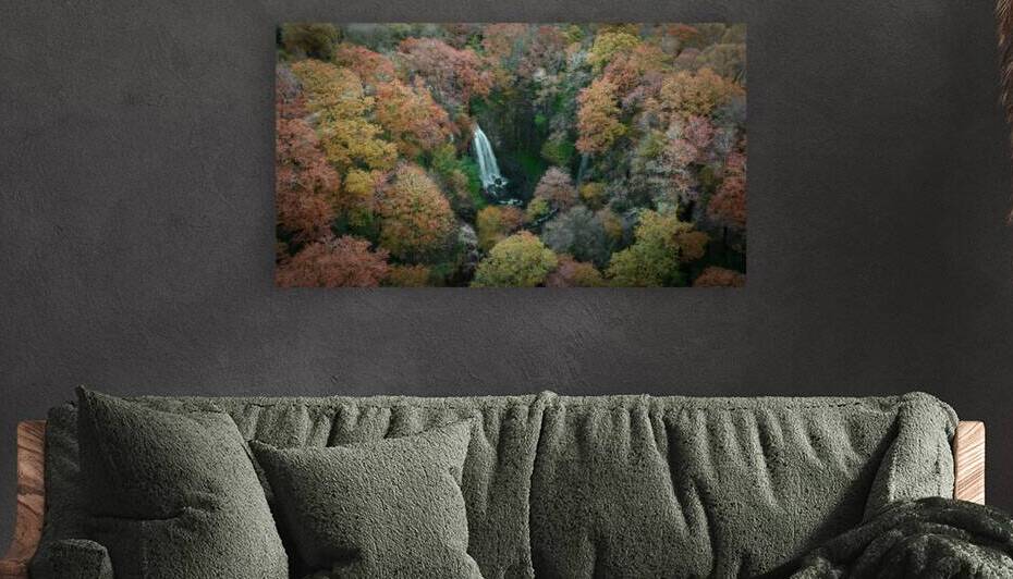 Melincourt waterfall by Leighton Collins