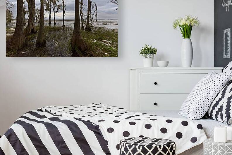 A new Versions of Lake Louisa by Images By Jon Evan