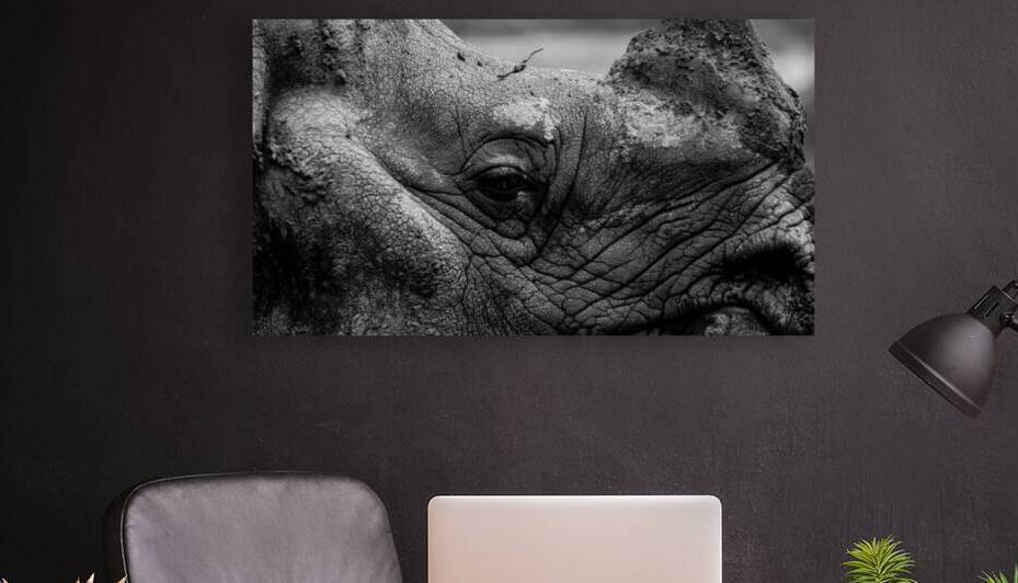 The Last Witness: A Rhinoceros in Quiet Reflection by Nicholas Vosburg