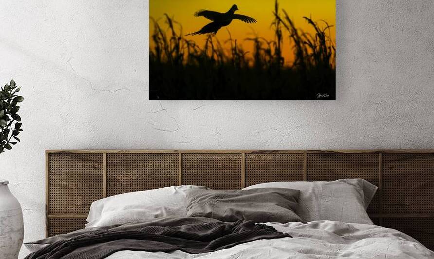 OPENING MORNING PHEASANT SEASON by Carney Photography