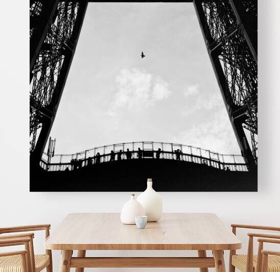 Birds-Eye View by Dave Bowman