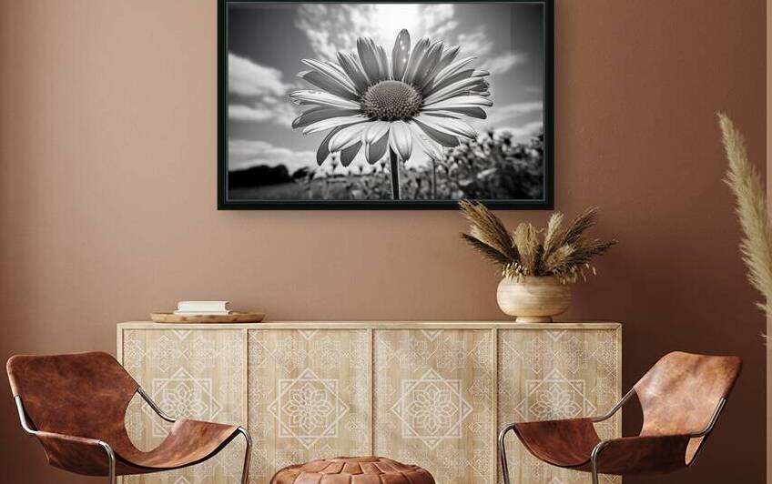 Summer’s Echo – Black and White Sunflower Field Print by Savage Art Prints