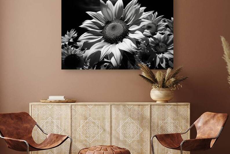 Golden Accent – Part-Color Sunflower Study Print by Savage Art Prints