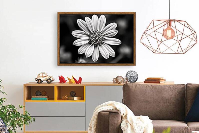 Fields of Memory – Black and White Sunflower Portrait by Savage Art Prints