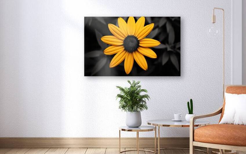 Lone Glow – Yellow Sunflower on Black Print by Savage Art Prints