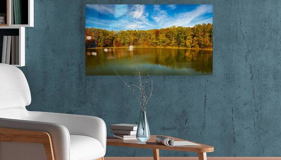 Fall leaves surround reservoir in Coopers Rock State Forest in W by Steve Heap