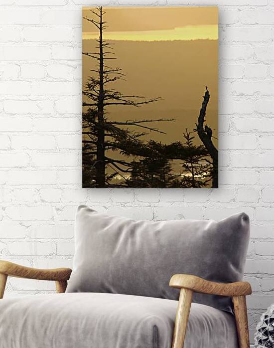 Golden Sunrise by Earthshine Emporium