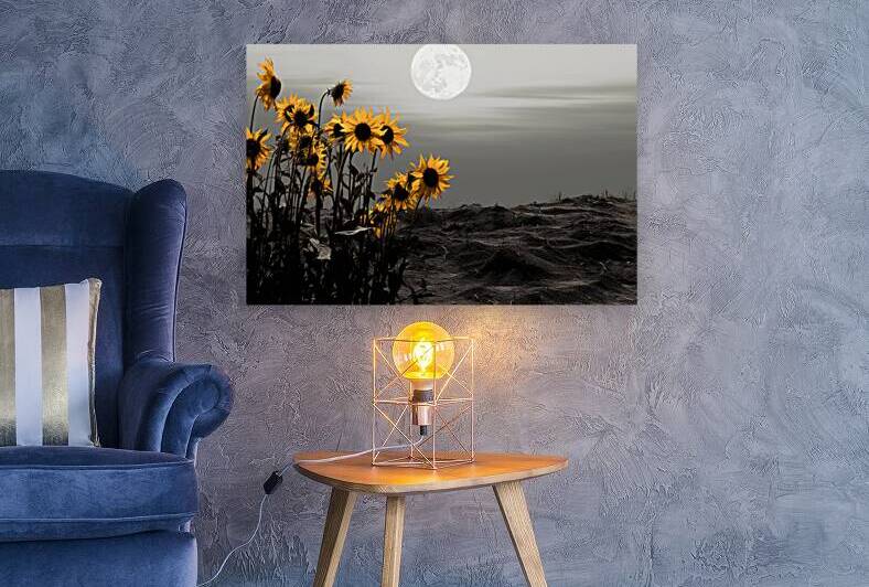 Harvest Moon – Golden Sunflowers by Moonlight Print by Savage Art Prints
