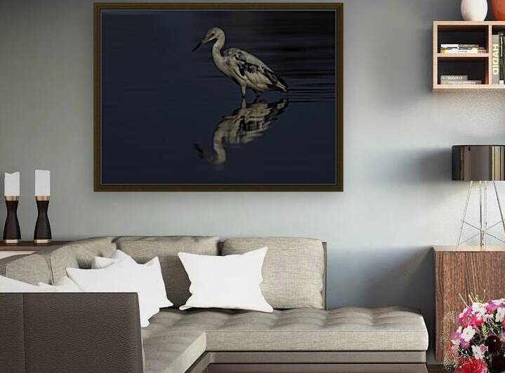 In the shadows by EarthsMoments by Marc Harris photographer