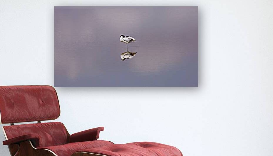 Balance by Laura Merz