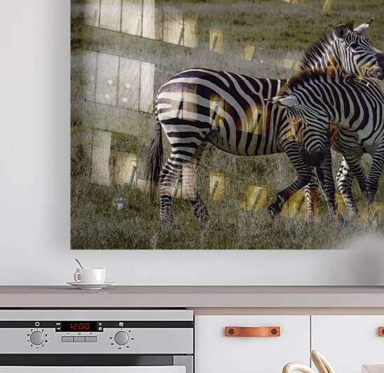 DSCF1633 Edit 2 by StudioGucciardo