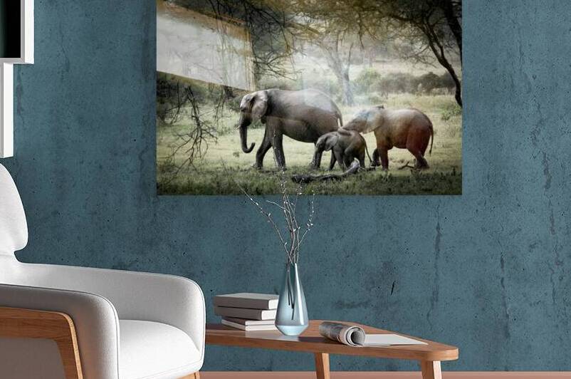 DSCF0352 2 Edit 4 by StudioGucciardo