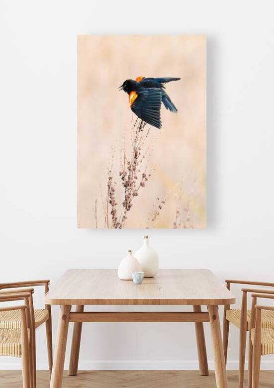 Blackbird by Serv Goyal