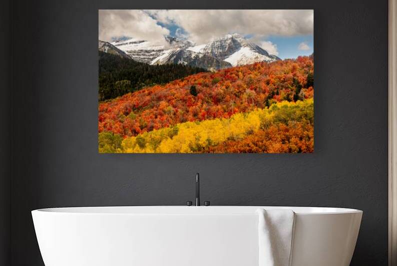 Layers of Seasons by E2 Photography