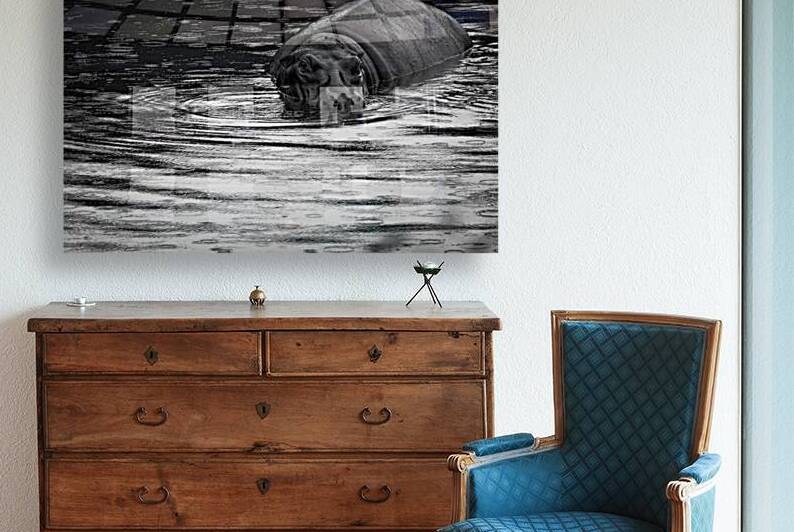 DSCF0957 2 Edit 2 by StudioGucciardo