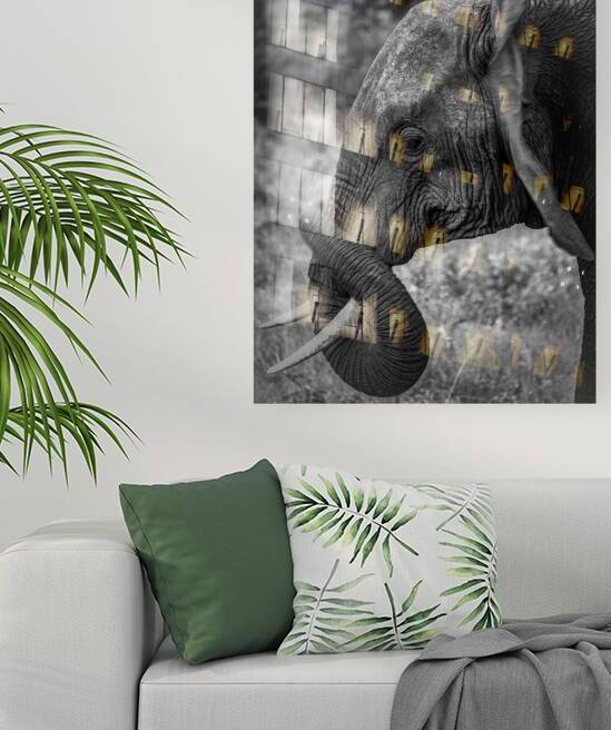 DSCF0313 2 Edit Edit by StudioGucciardo