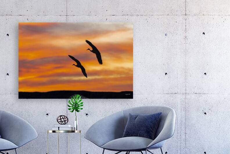 Sandhill Cranes Evening Sky by Doug Beck