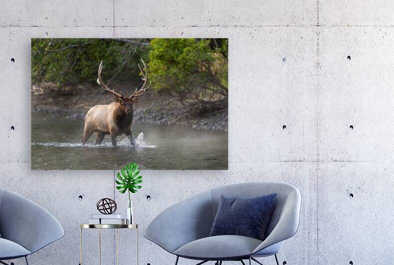 Vegas River Crossing by Doug Beck