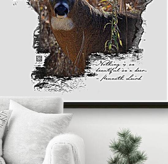 Beautiful Deer  by Kenneth Laird Studios