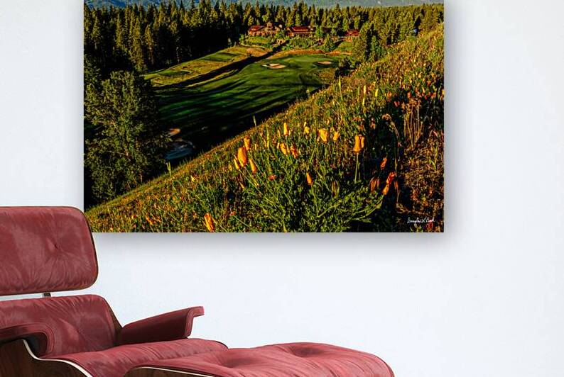 Swiftwater Cellars and Poppies by Doug Beck