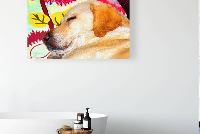 Serenity in Slumber: A Dogs Dream by Le Boulanger