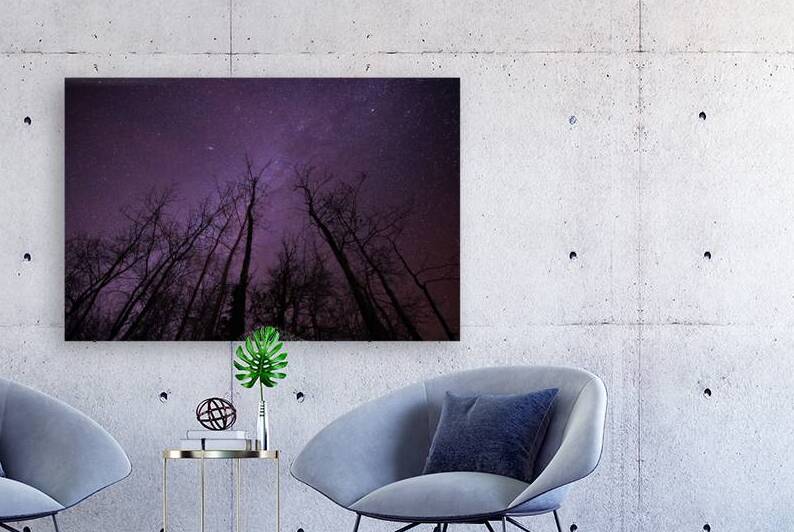 Winters Canopy: Stellar Skies Above Pinehouse Lakes Forest by Dre Erwin Photography